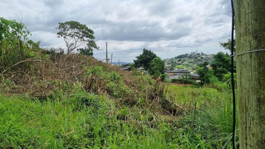 1022 m² Land available in Clermont photo number 3