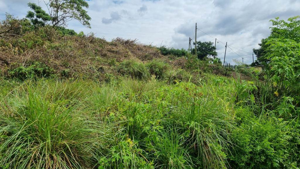 1022 m² Land available in Clermont photo number 2