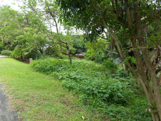 1476 m² Land available in Marina Beach photo number 21