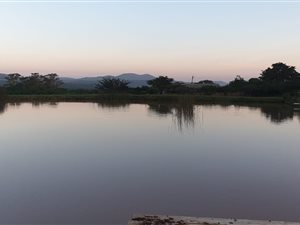 14 ha Farm in Empangeni