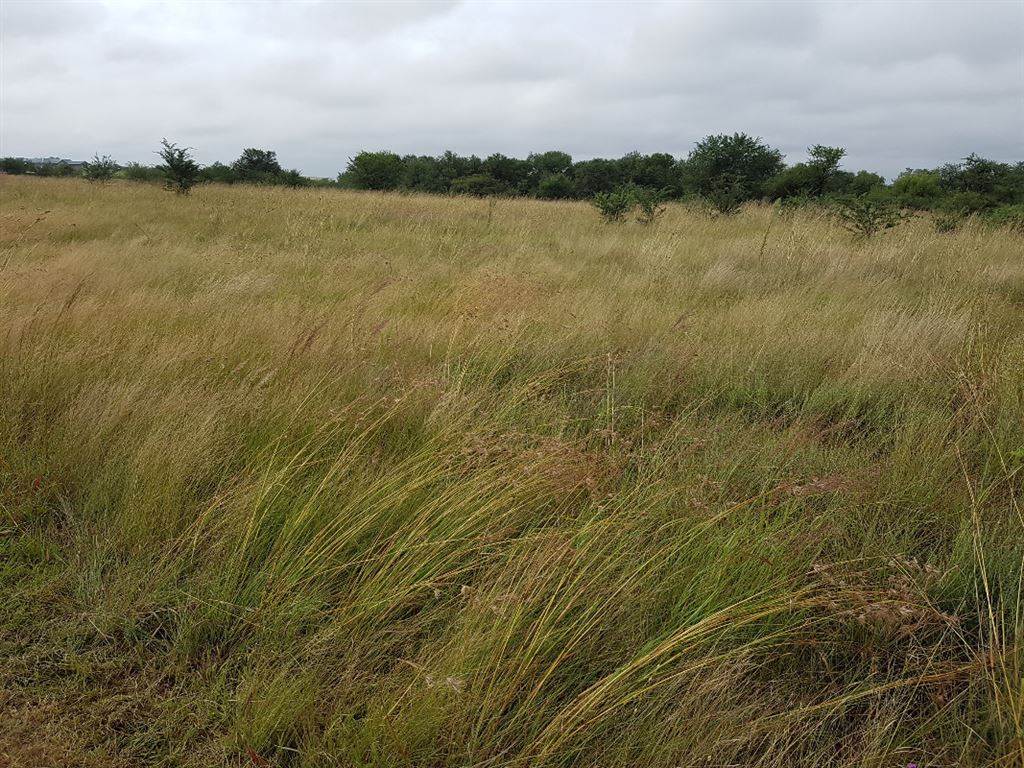 760 m² Land available in Parys Golf Estate photo number 6