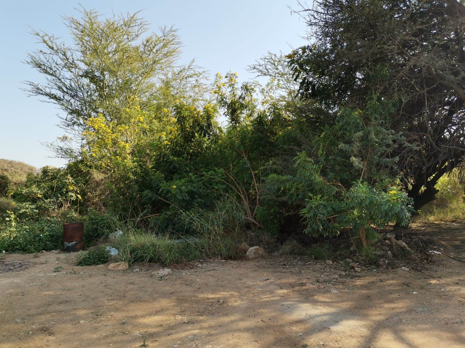 1 ha Land available in Hoedspruit photo number 11