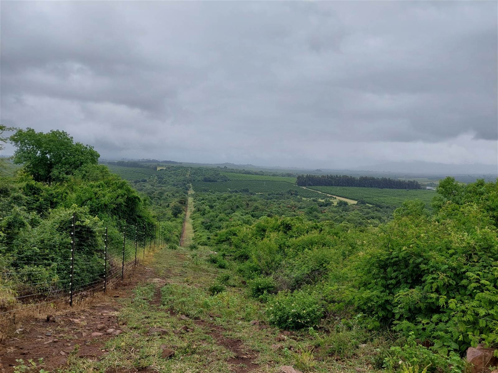 47 ha Land available in Makhado (Louis Trichardt) photo number 2