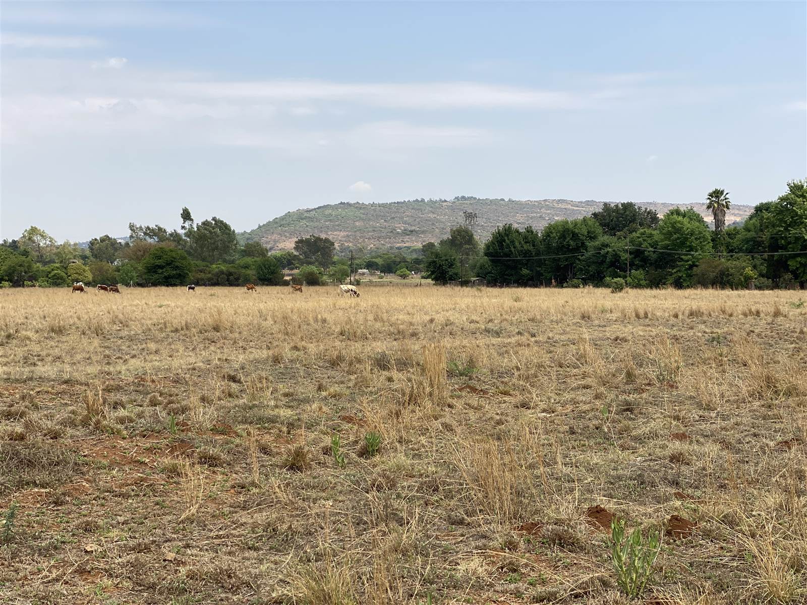 4 ha Land available in Zwavelpoort photo number 1
