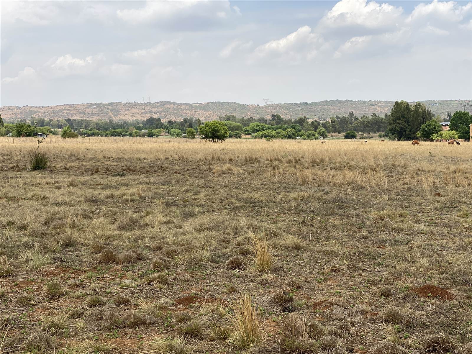4 ha Land available in Zwavelpoort photo number 5