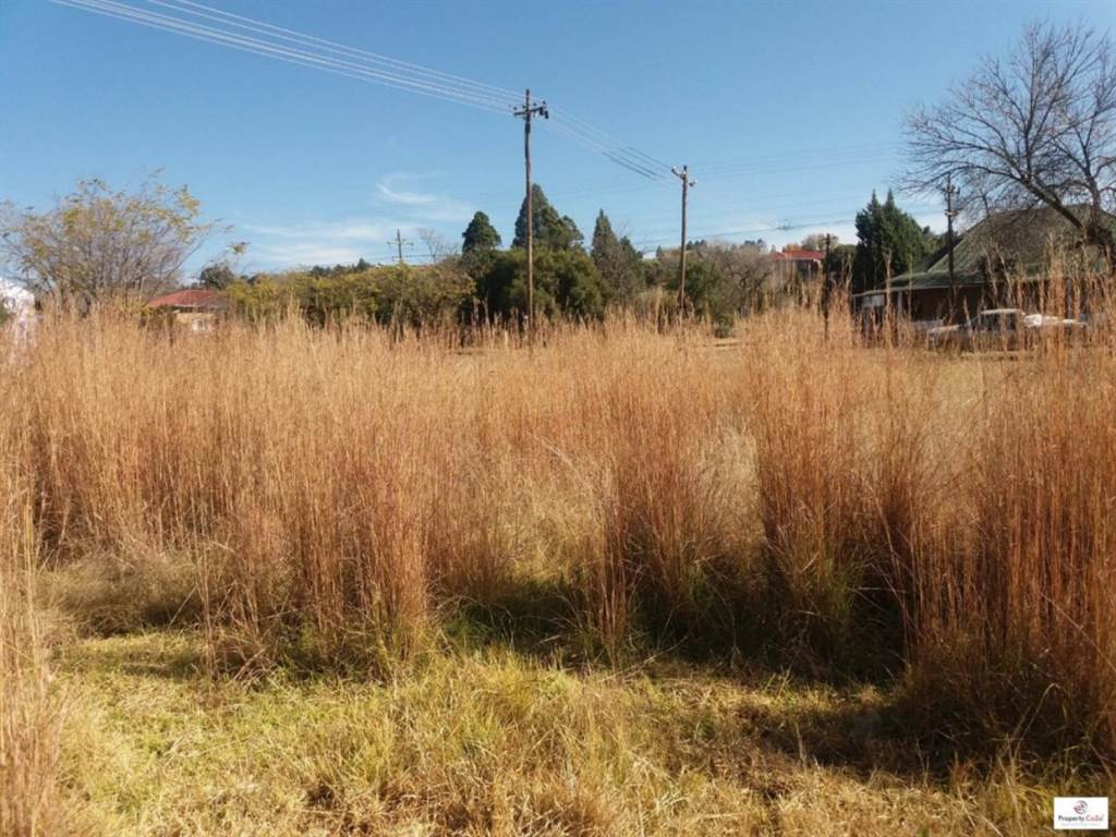 1115 m² Land available in Paul Roux photo number 2