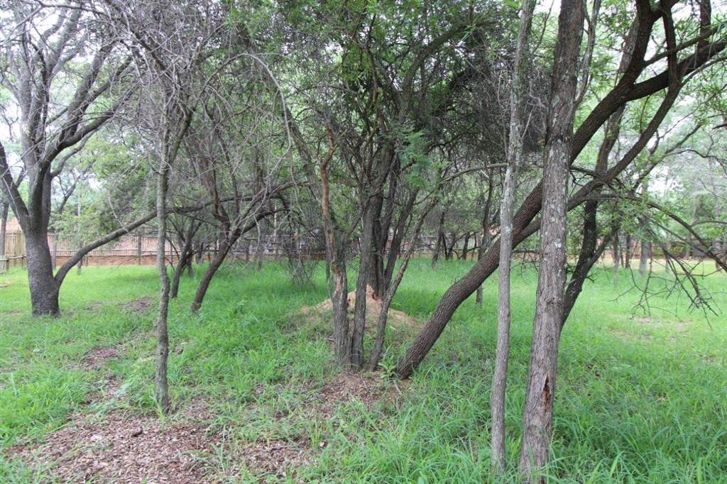 1071 m² Land available in Koro Creek Golf Estate photo number 4