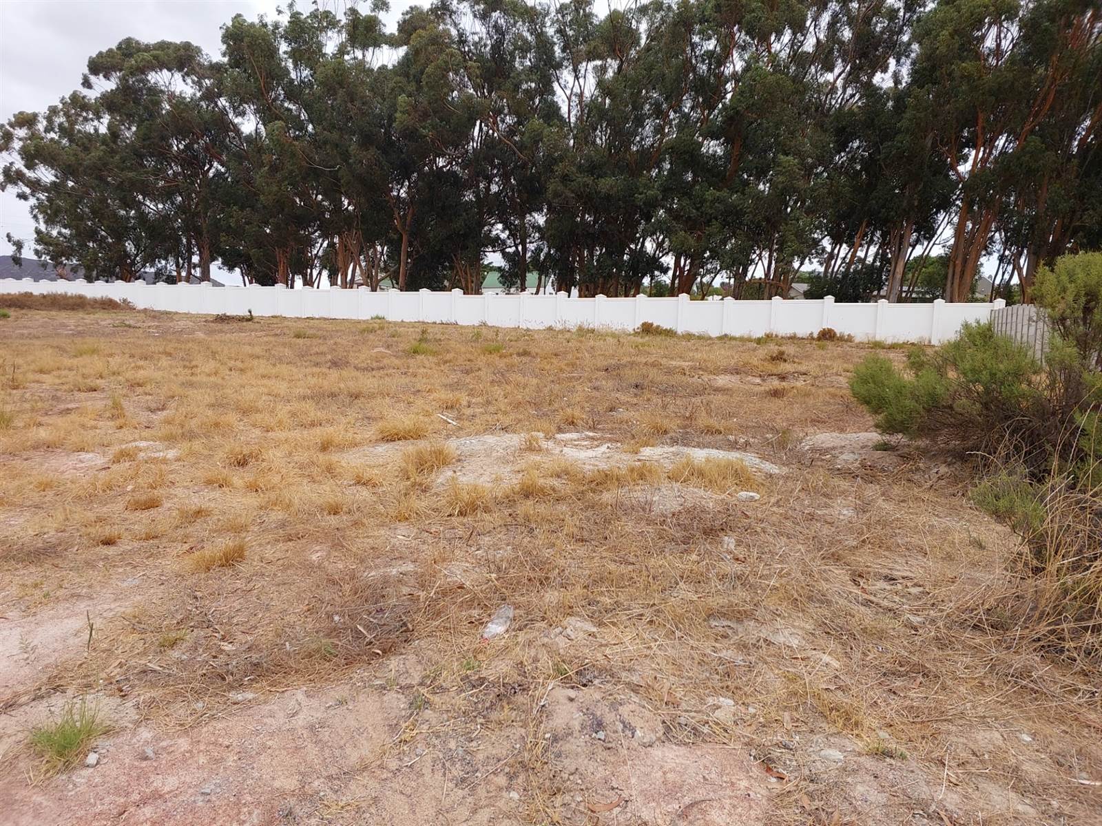 802 m² Land available in Darling photo number 3
