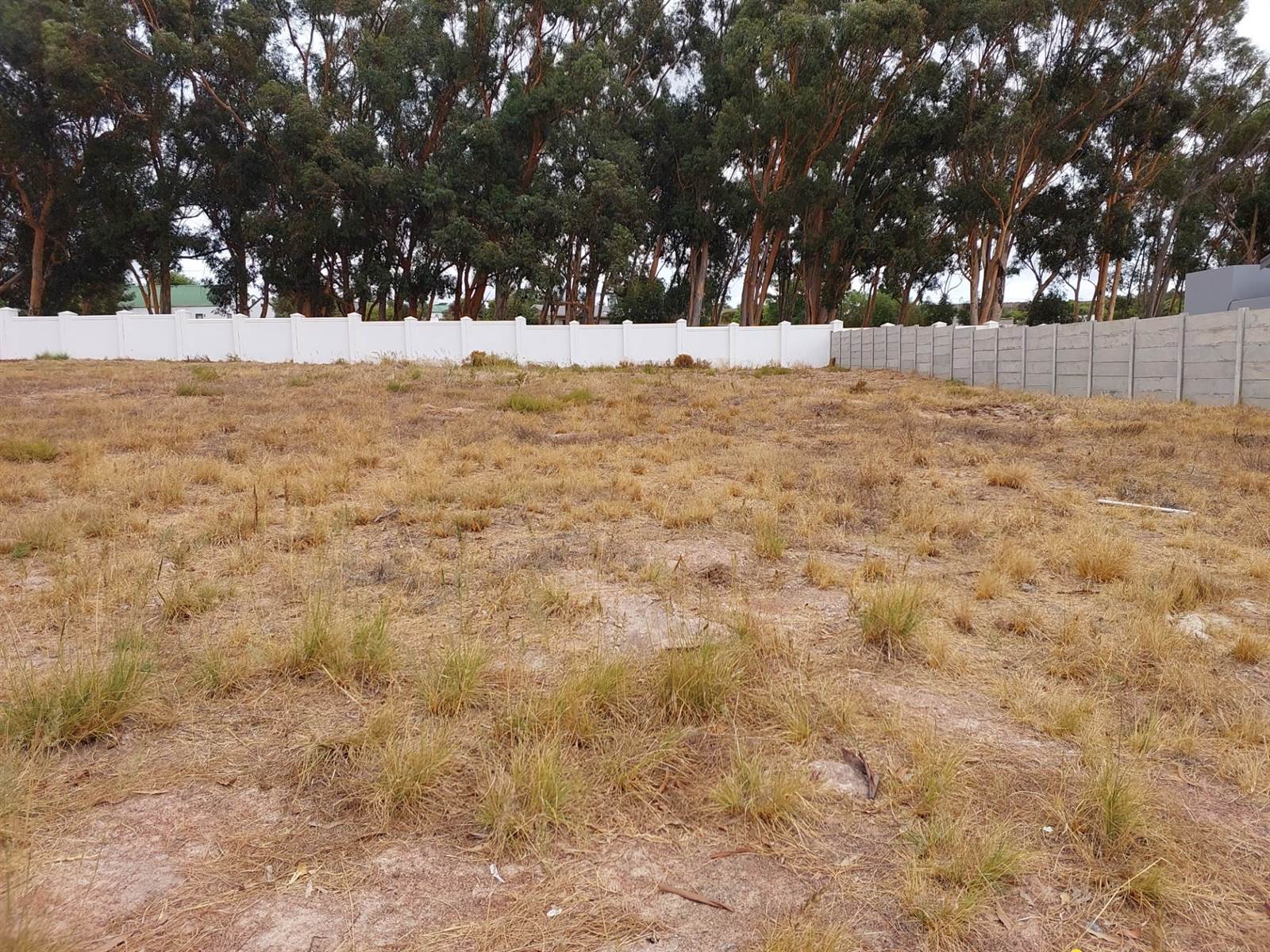 802 m² Land available in Darling photo number 5