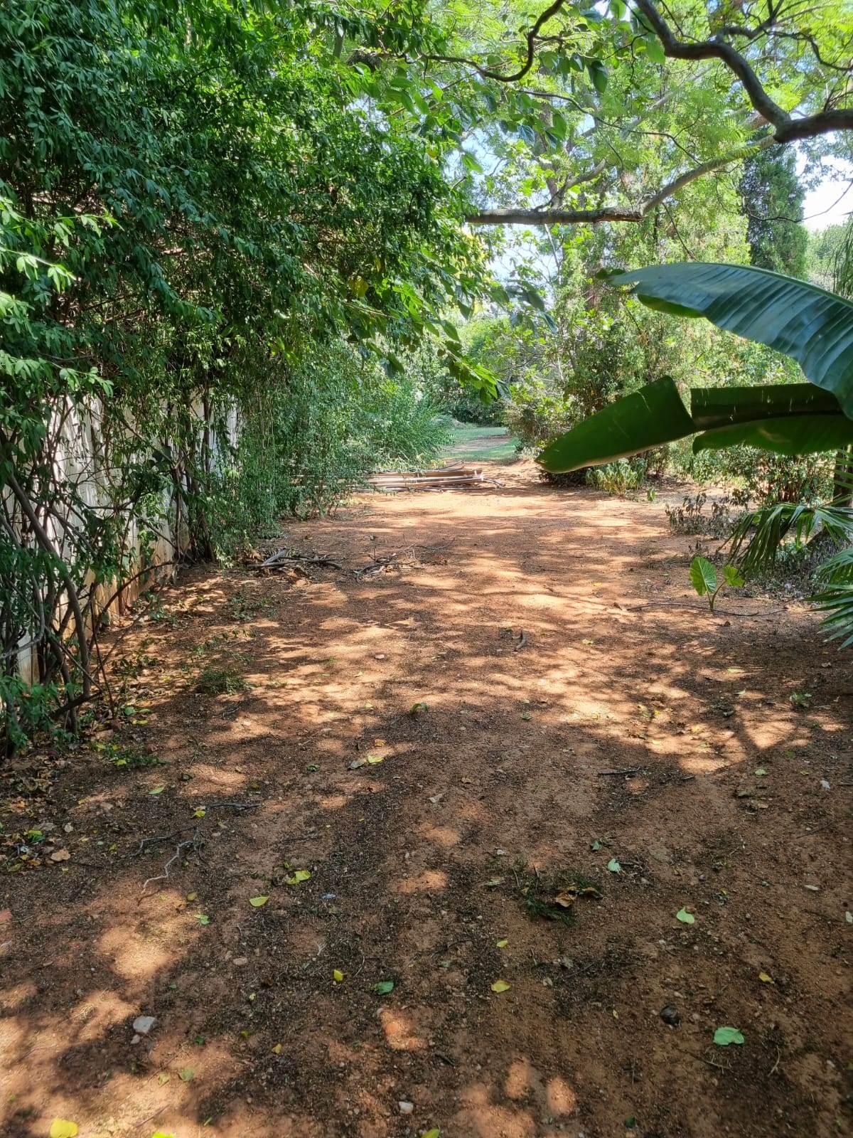 2072 m² Land available in Bryanston photo number 7