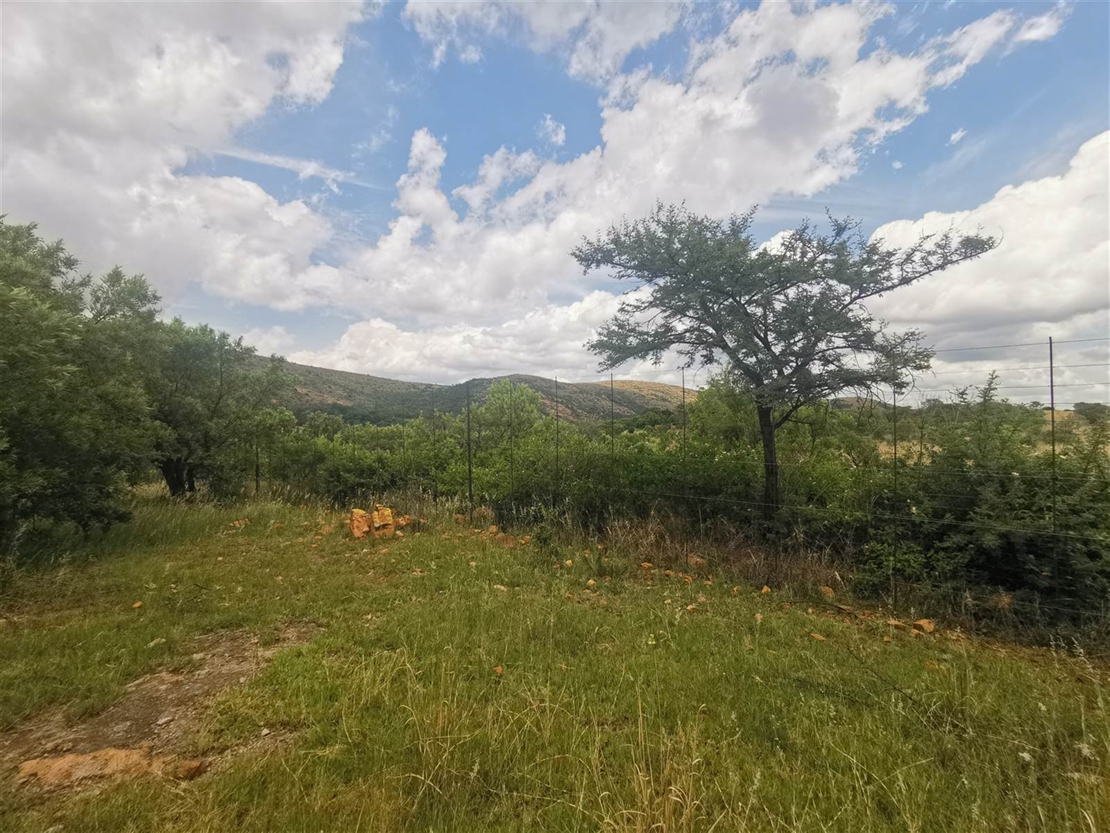 18.3 ha Smallholding in Strydfontein and surrounds photo number 2