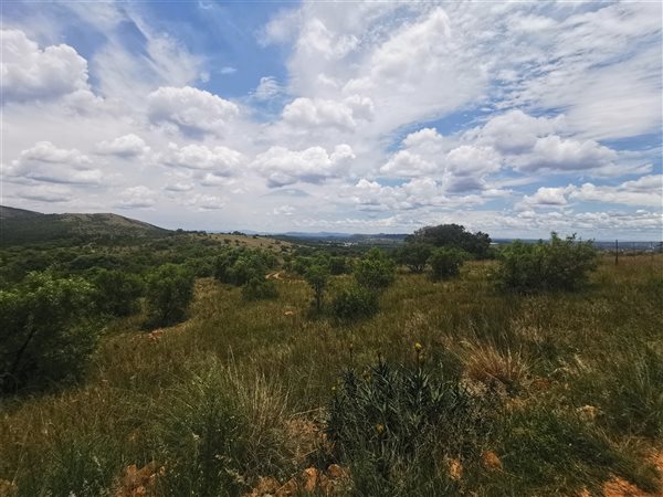 18.3 ha Smallholding in Strydfontein and surrounds