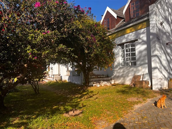 3 Bedroom House 3 Bedroom House