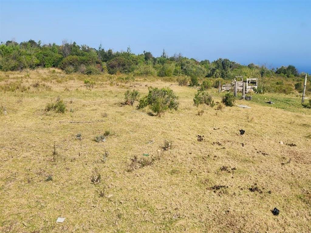 7165 m² Land available in Robberg photo number 6