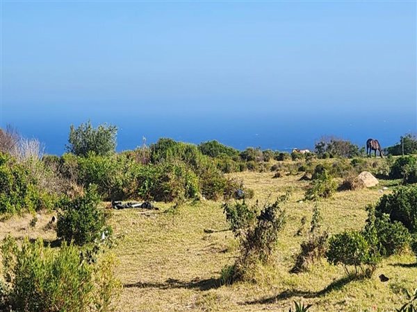7165 m² Land available in Robberg