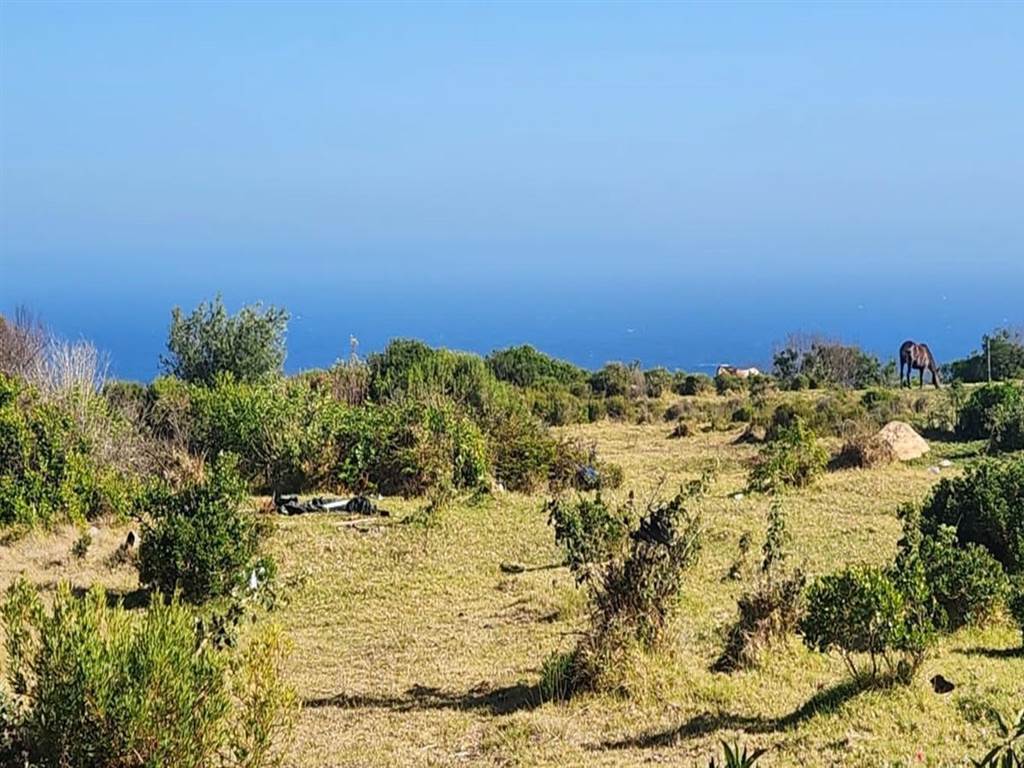7165 m² Land available in Robberg photo number 1