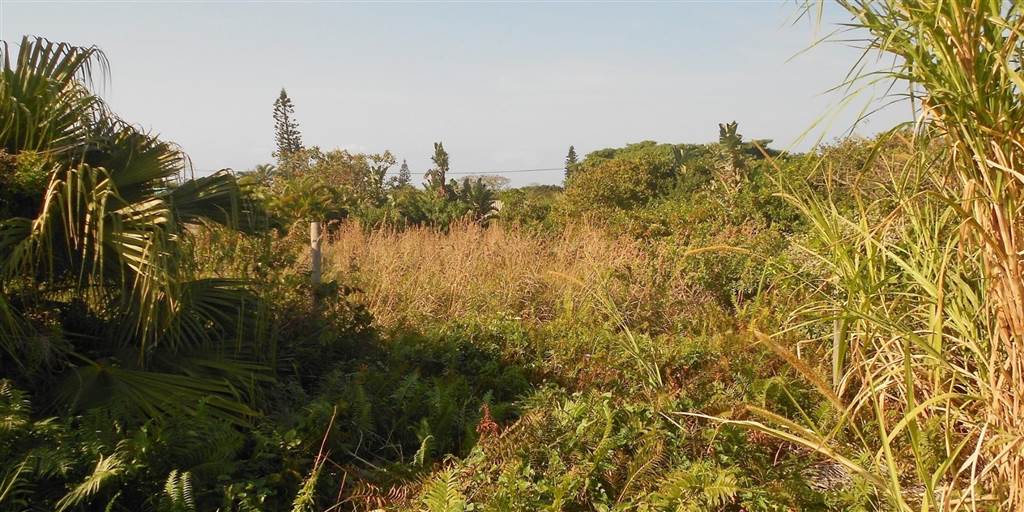 1128 m² Land available in Port Edward photo number 5