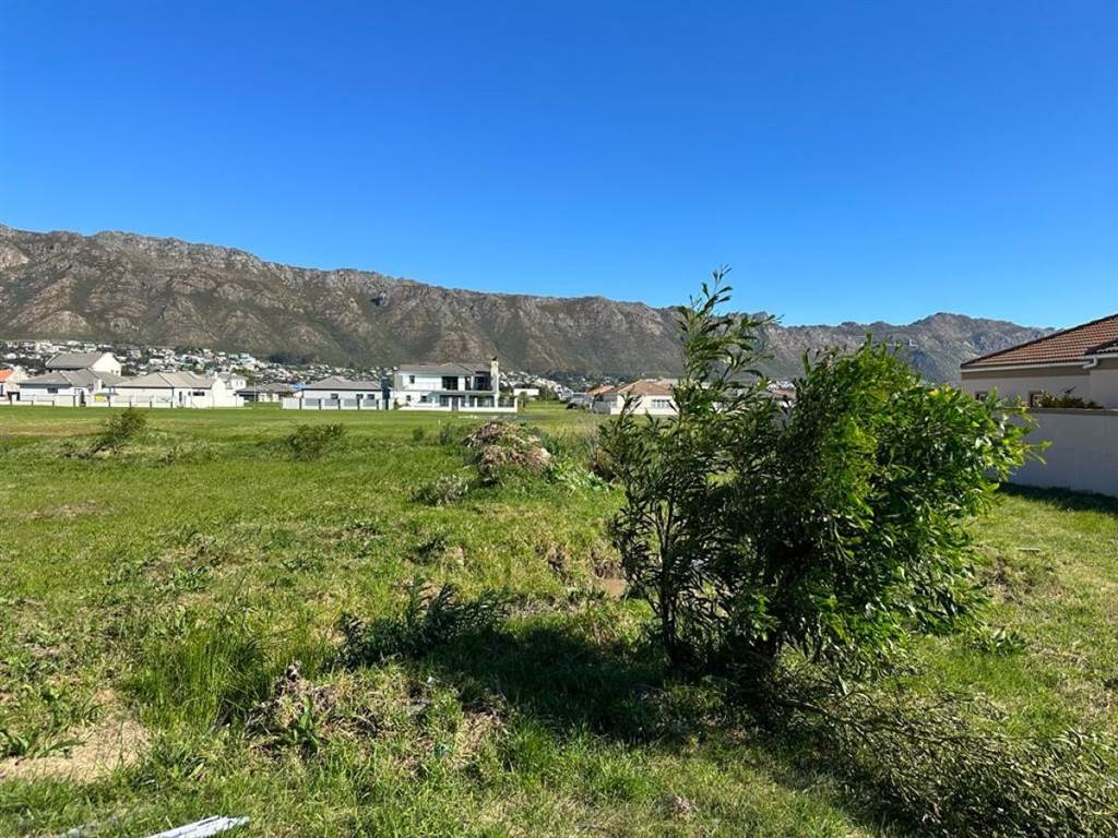 502 m² Land available in Fairview Golf Estate photo number 15