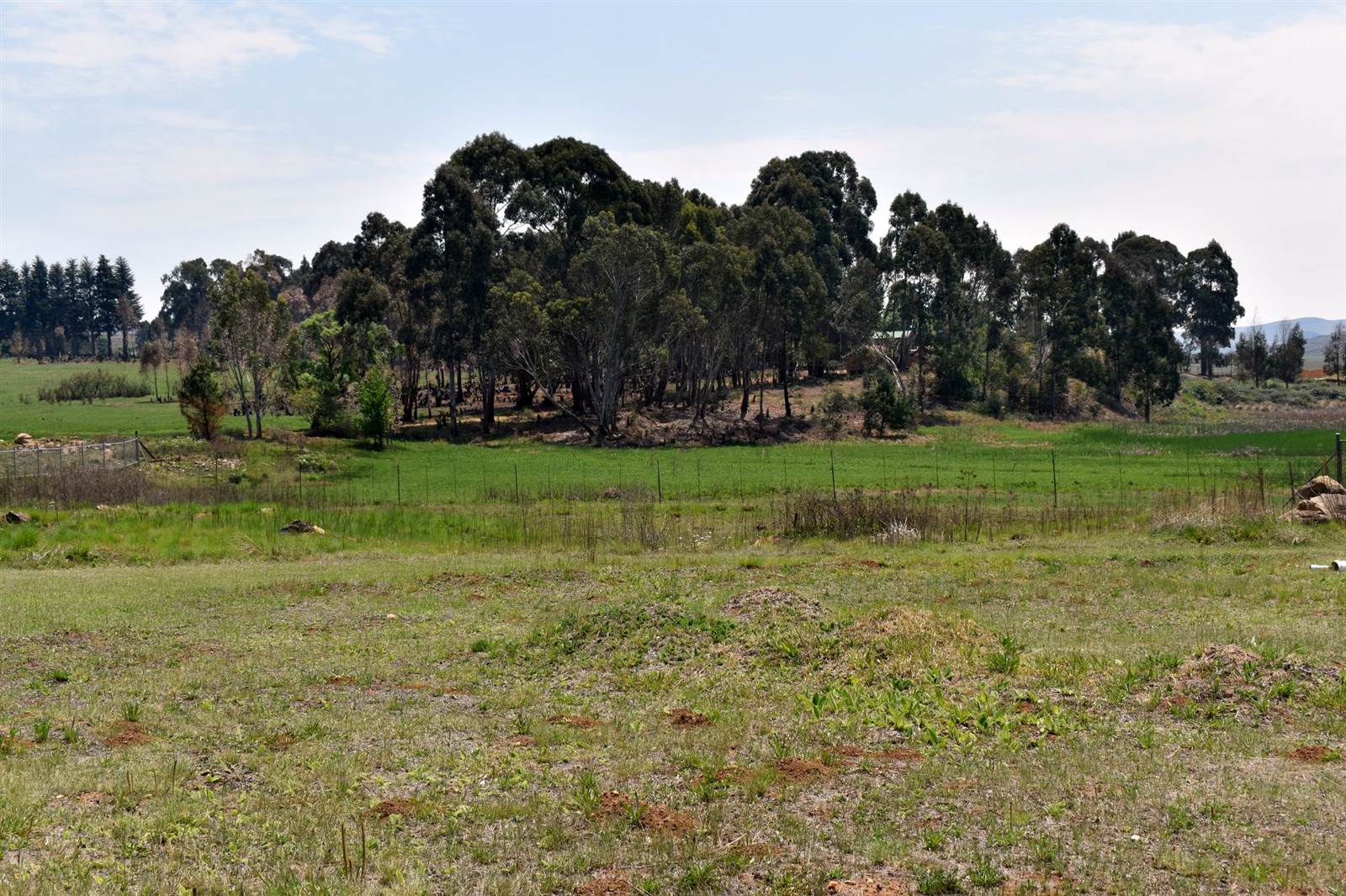 1326 m² Land available in Dullstroom photo number 7