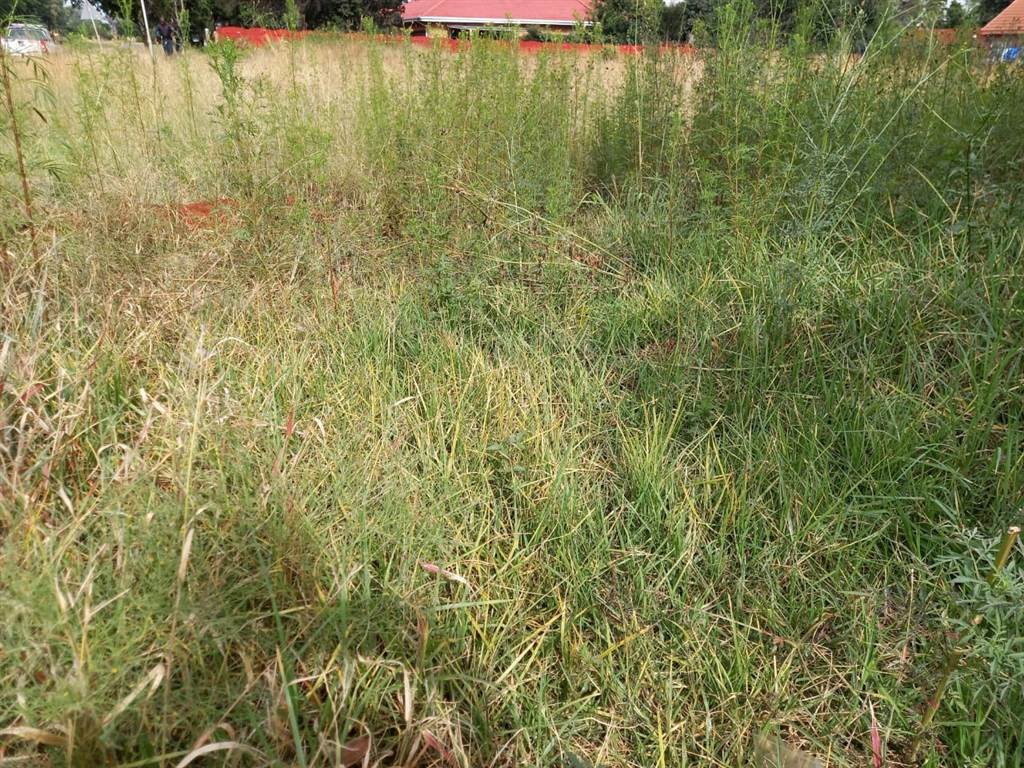2180 m² Land available in Carletonville photo number 5