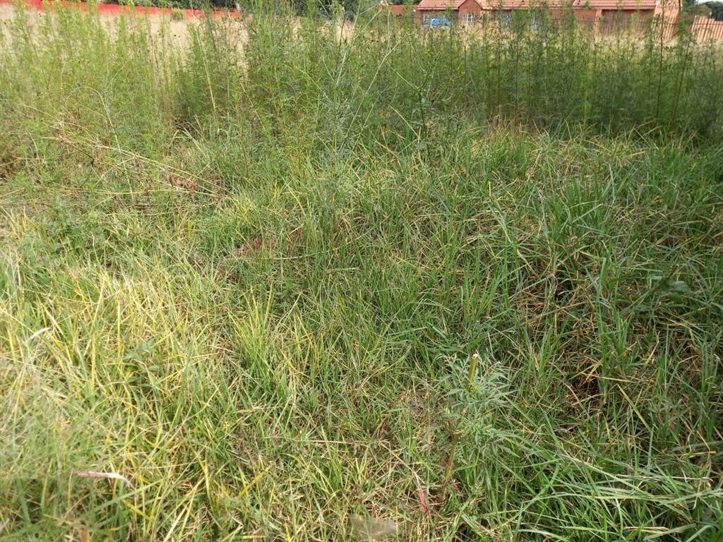 2180 m² Land available in Carletonville photo number 9