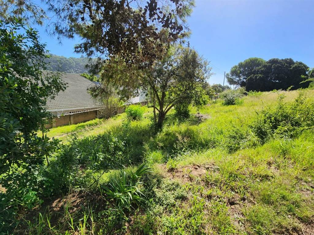1301 m² Land available in Lower Robberg photo number 7