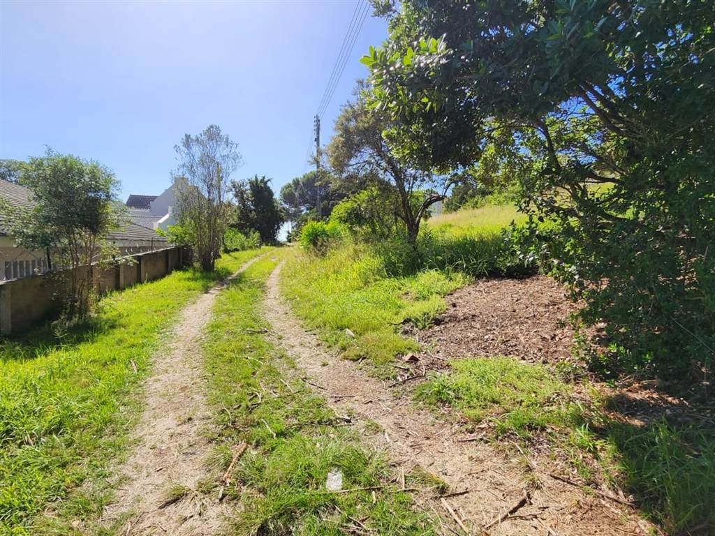 1301 m² Land available in Lower Robberg photo number 14