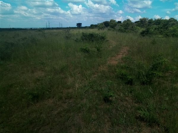 8.6 ha Land available in Leeukuil AH