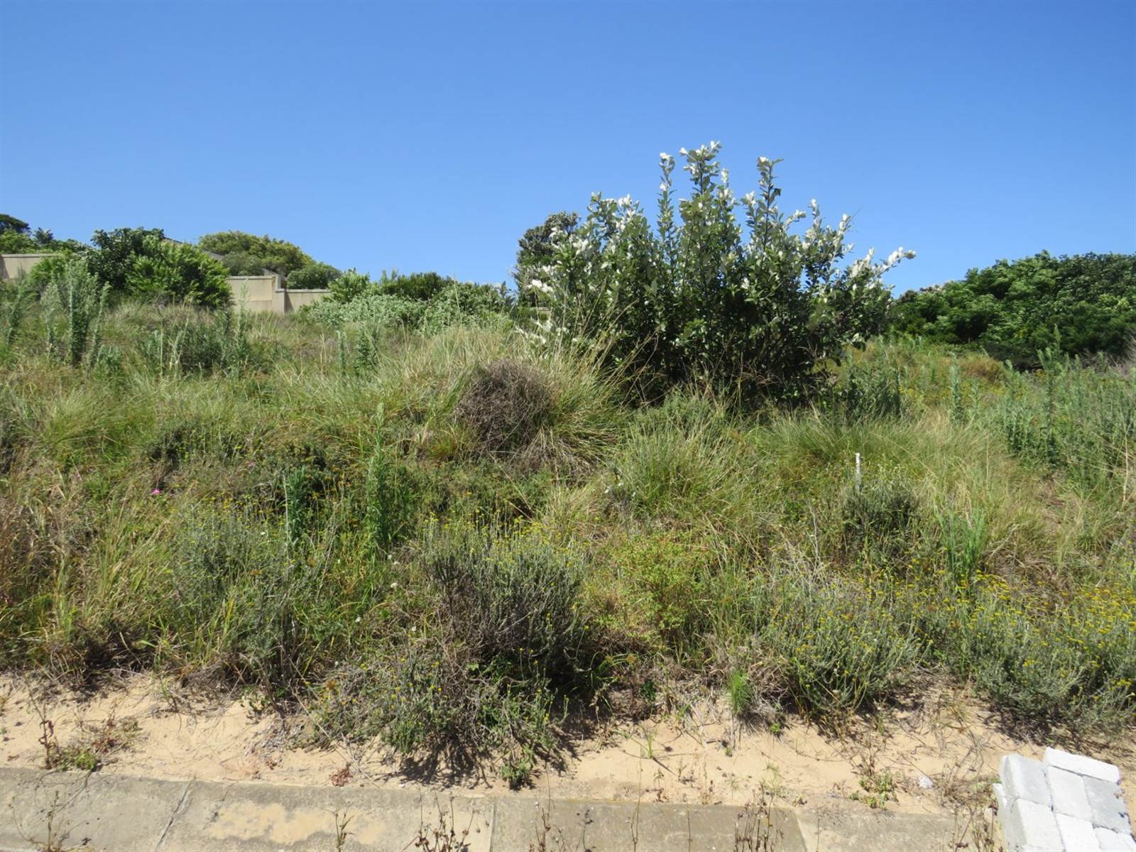 580 m² Land available in West Bank photo number 3