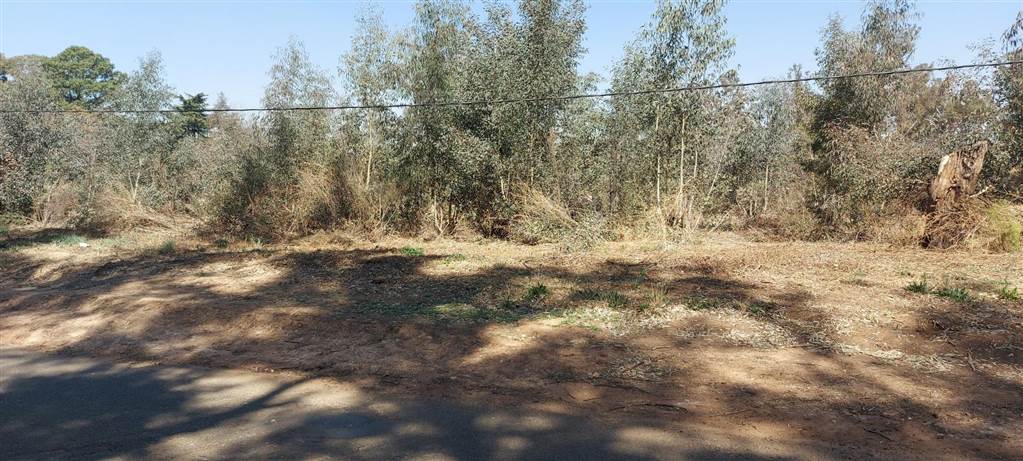2344 m² Land available in Henley on Klip photo number 7