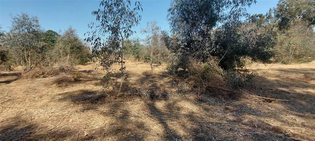2344 m² Land available in Henley on Klip photo number 6