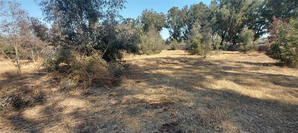 2344 m² Land available in Henley on Klip photo number 4
