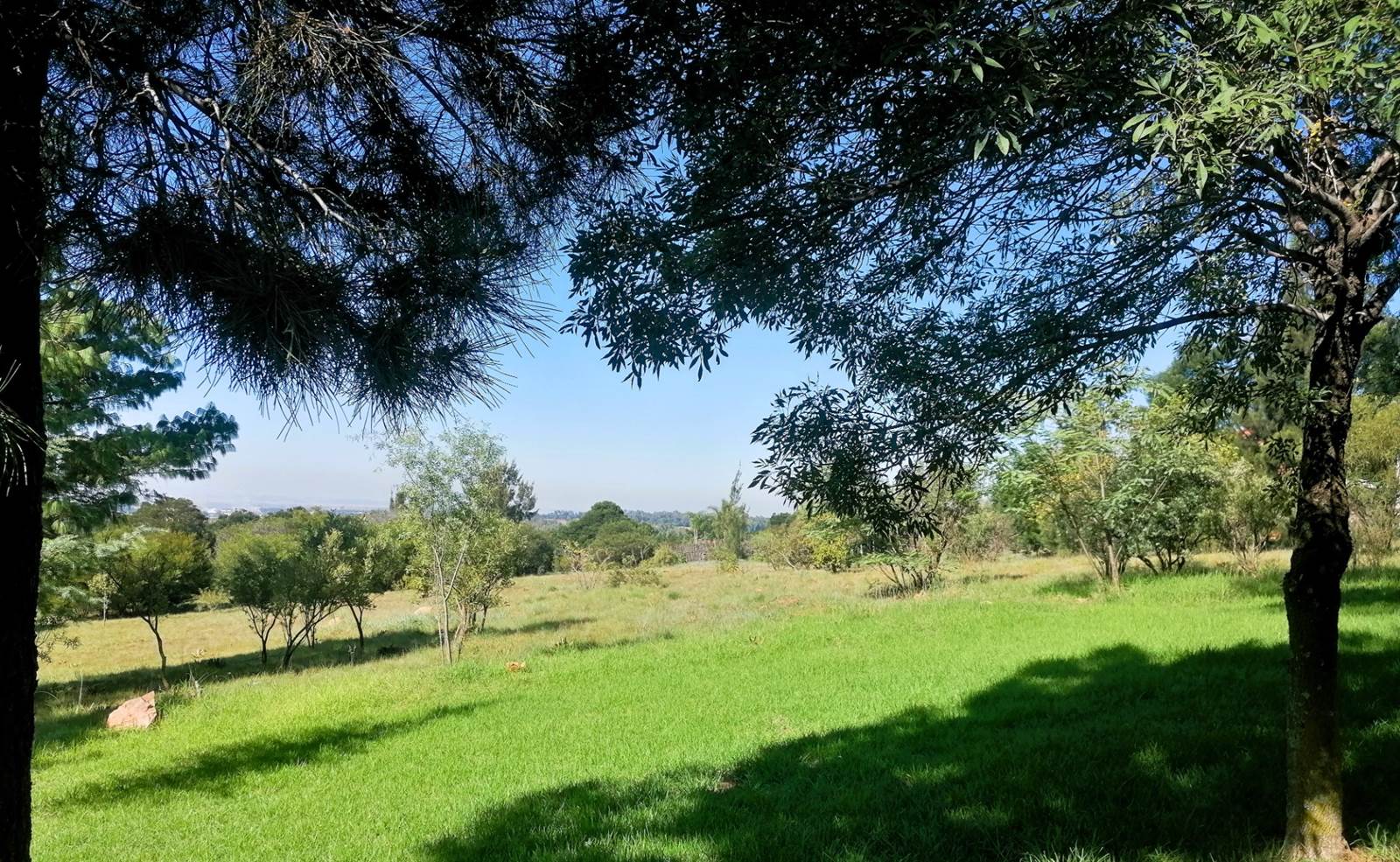 1 ha Land available in Blue Saddle Ranches photo number 1