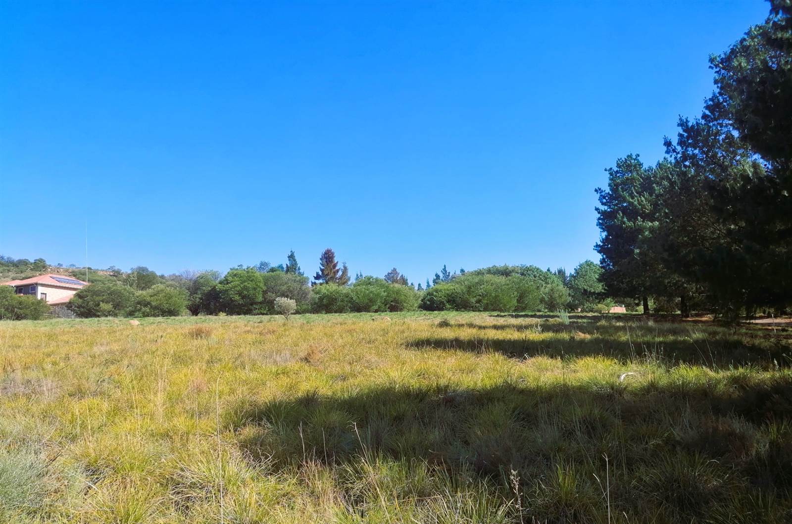 1 ha Land available in Blue Saddle Ranches photo number 7