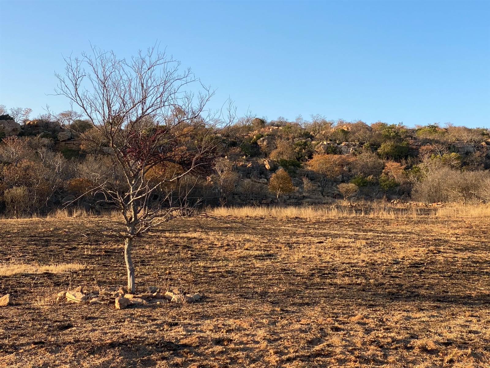 1 ha Land available in Bronkhorstbaai photo number 8