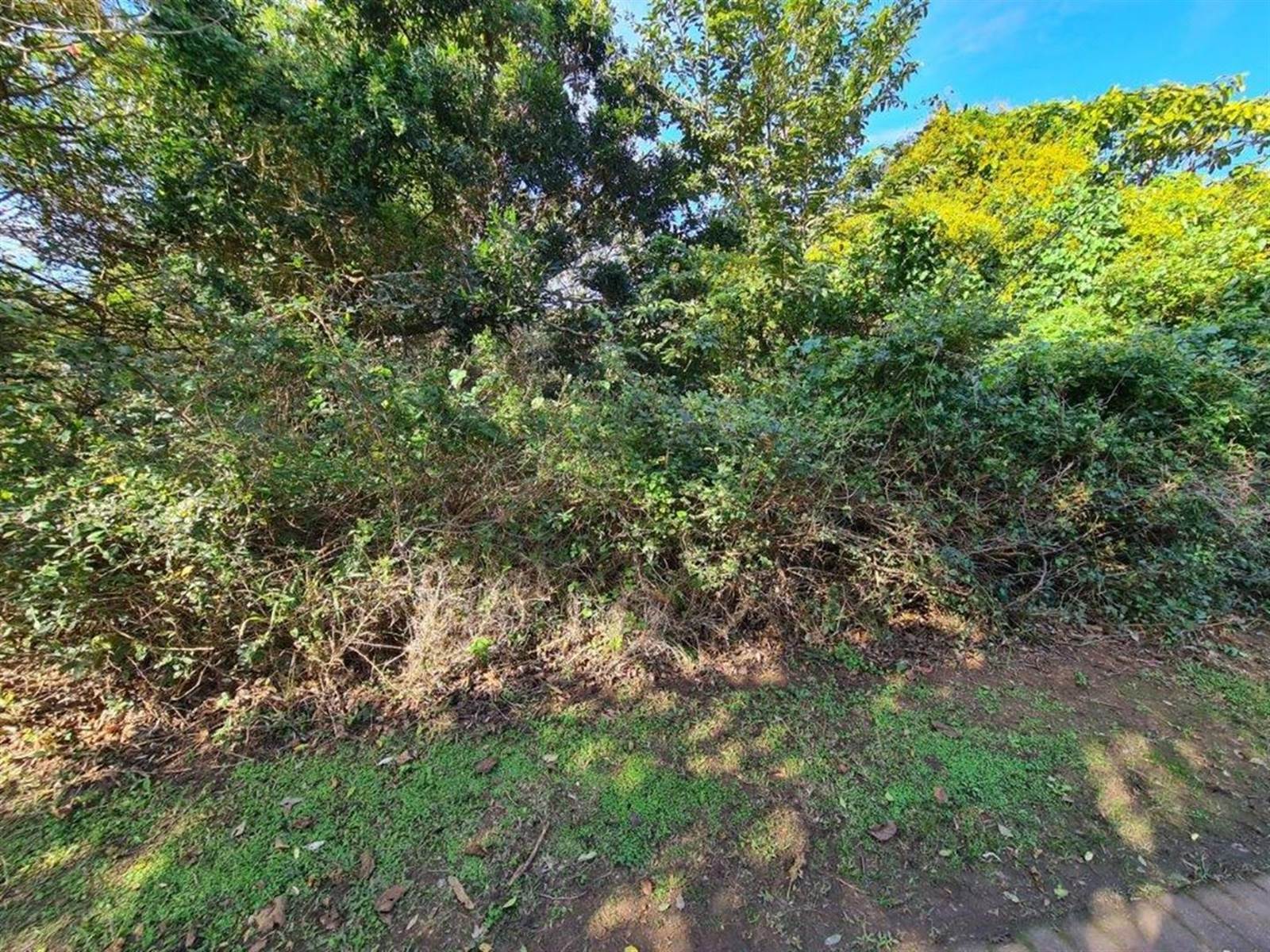 512 m² Land available in Princes Grant Golf Estate photo number 3