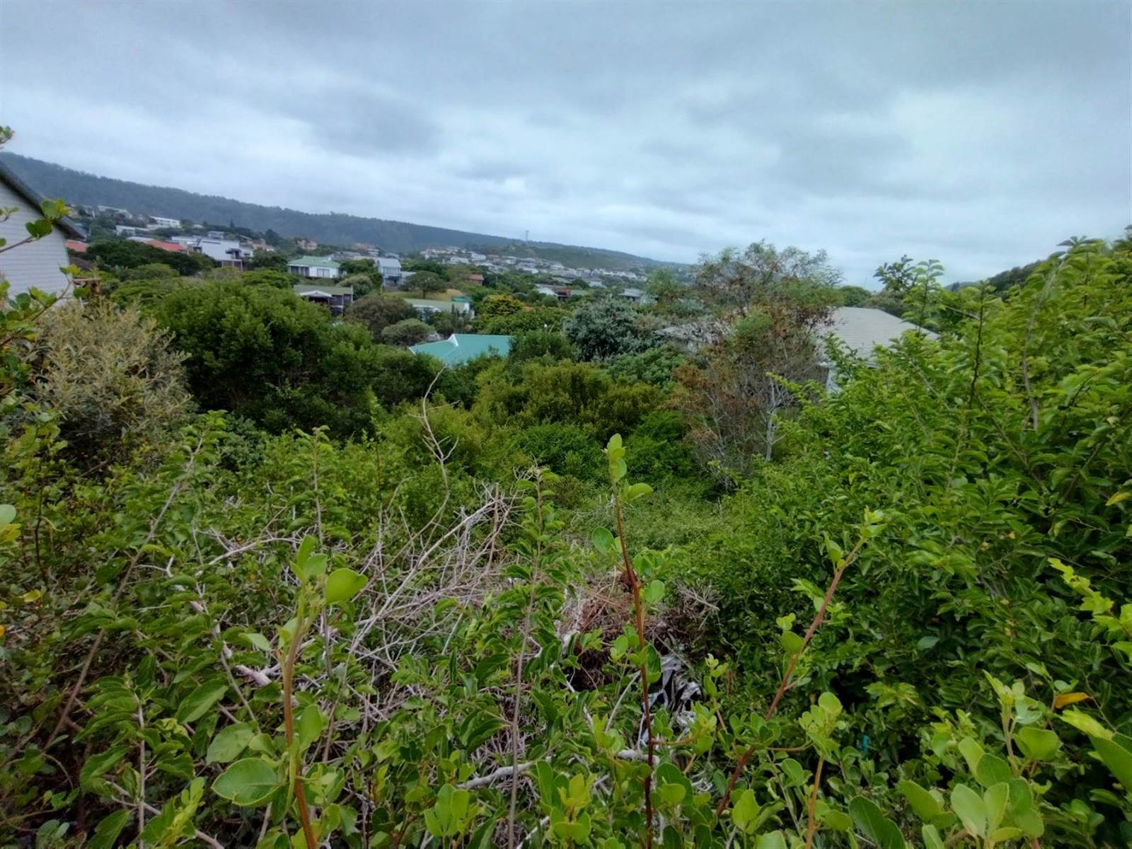 868 m² Land available in Sedgefield photo number 7