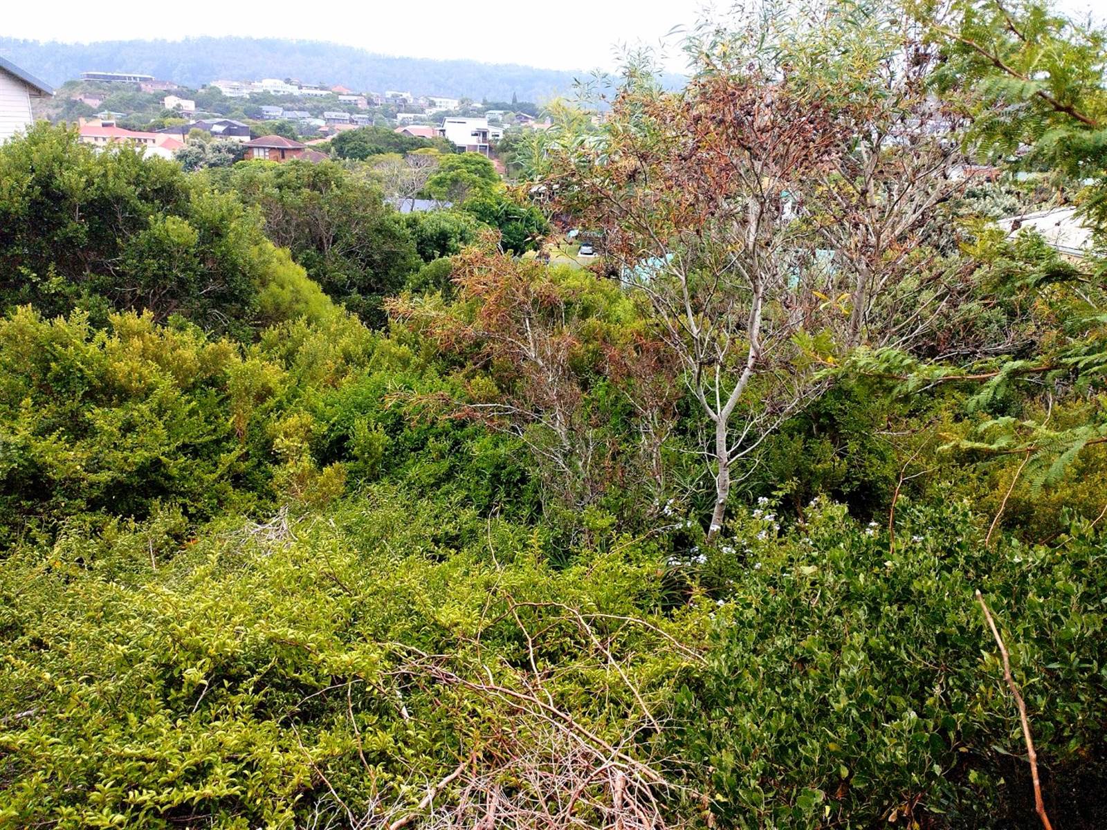 868 m² Land available in Sedgefield photo number 4