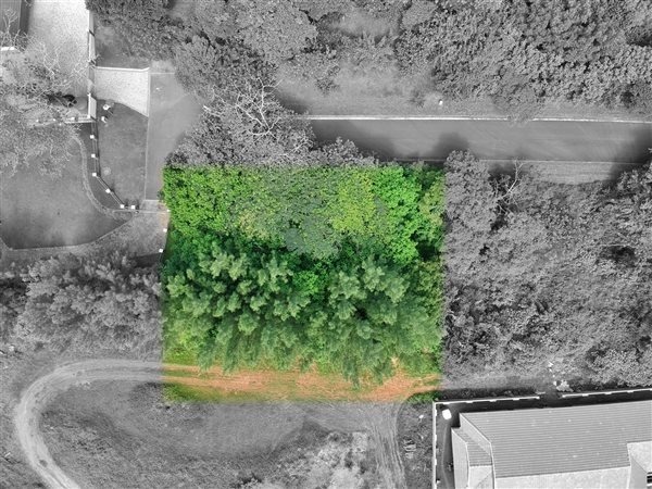 1119 m² Land available in Kelso