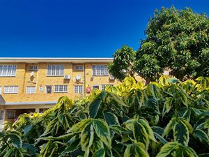 3 Bed Townhouse in Escombe