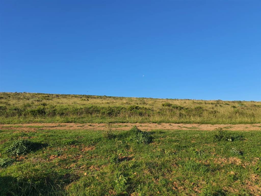 1601 m² Land available in Hartenbos photo number 4