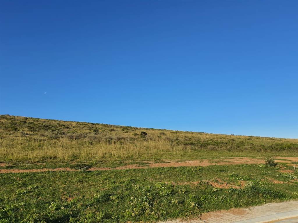 1601 m² Land available in Hartenbos photo number 6
