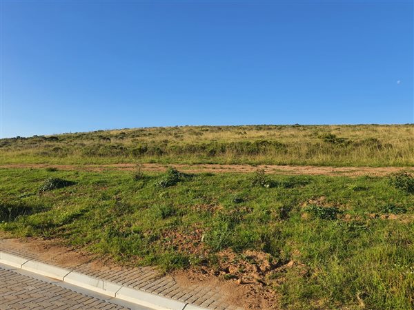 1601 m² Land available in Hartenbos