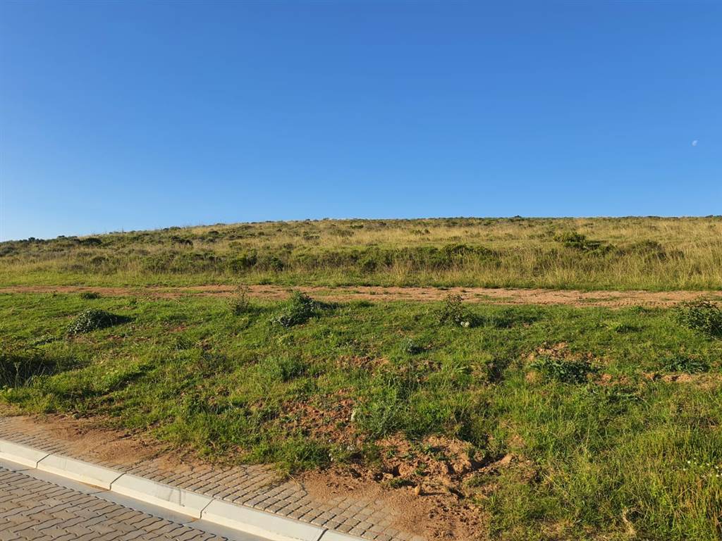 1601 m² Land available in Hartenbos photo number 1