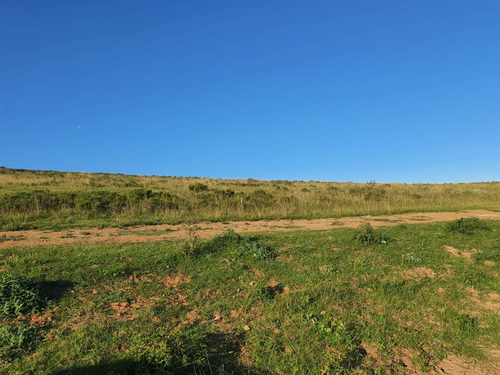 1601 m² Land available in Hartenbos photo number 5