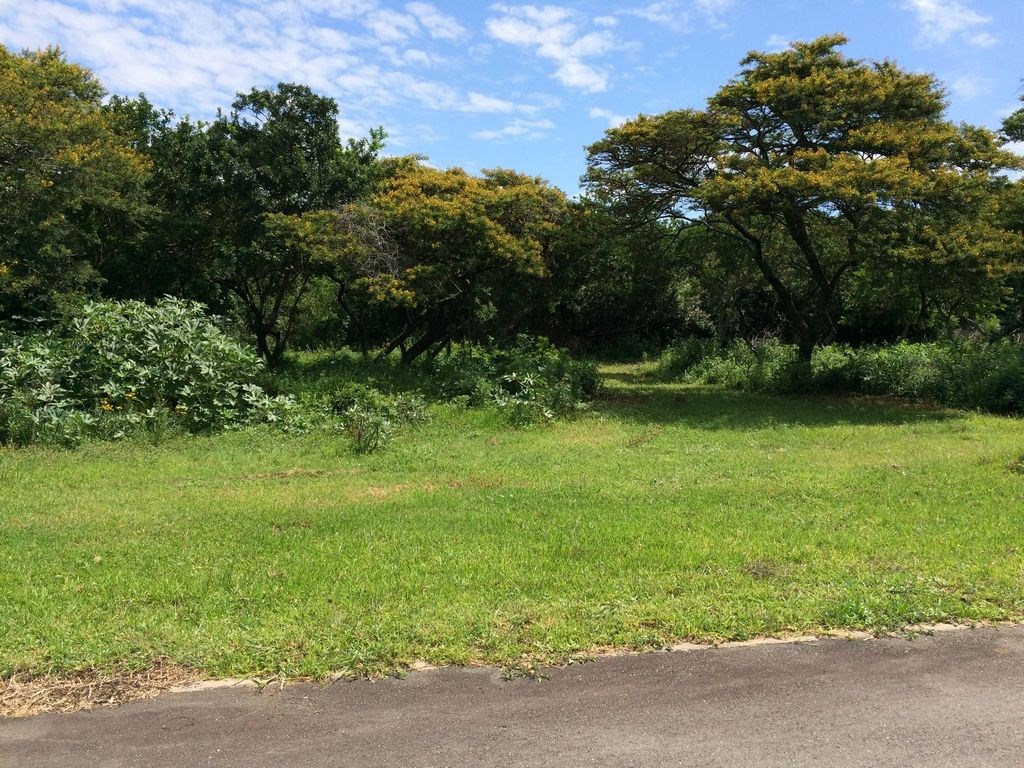 809 m² Land available in Cintsa photo number 2