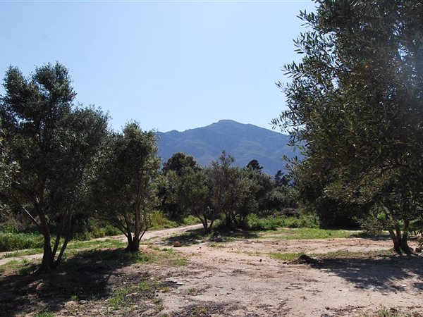 1 254 m² Land