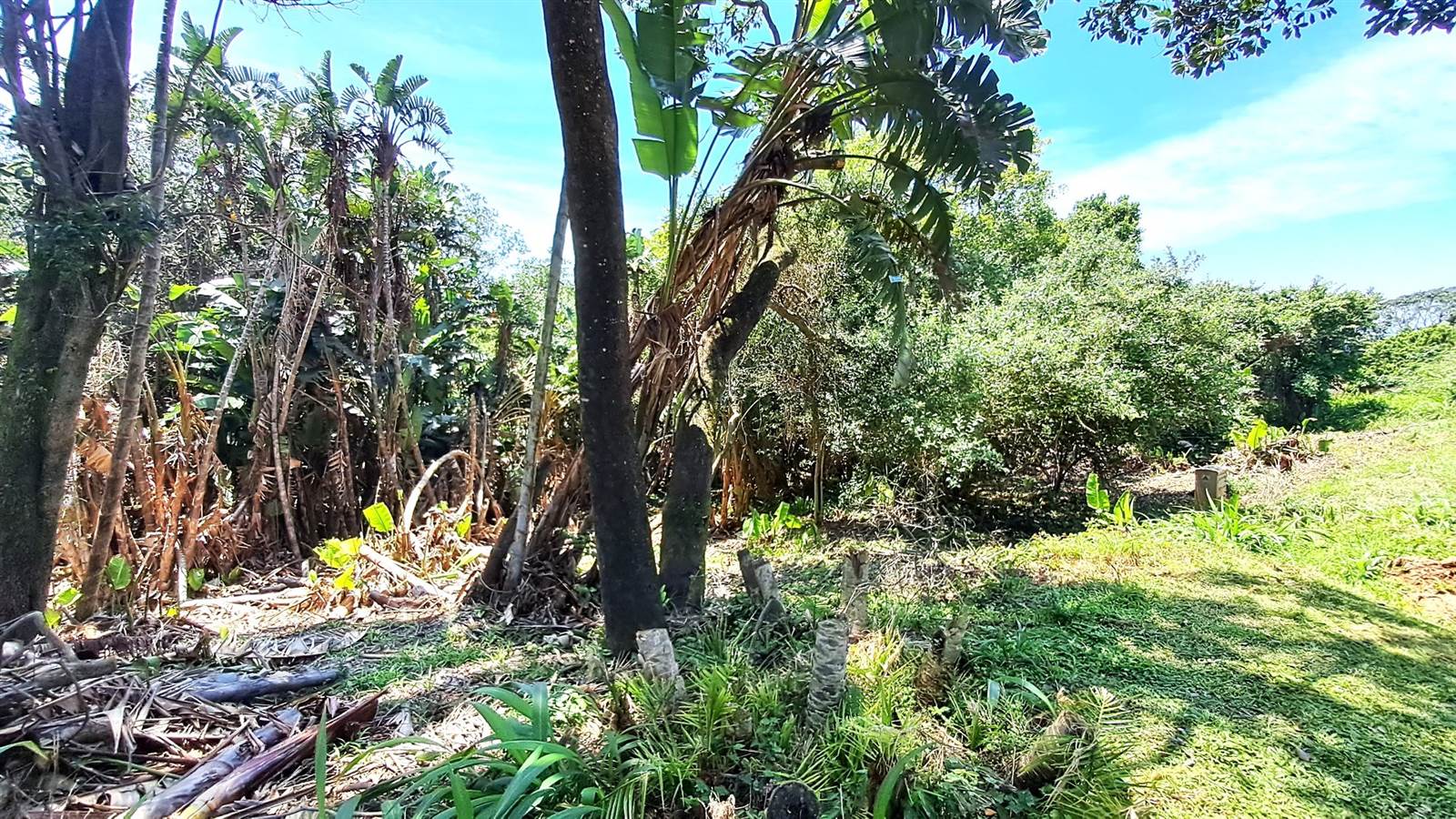 1619 m² Land available in Leisure Bay photo number 6