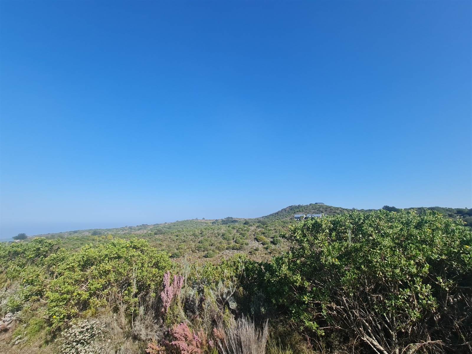 4741 m² Land available in Pezula Private Estate photo number 6