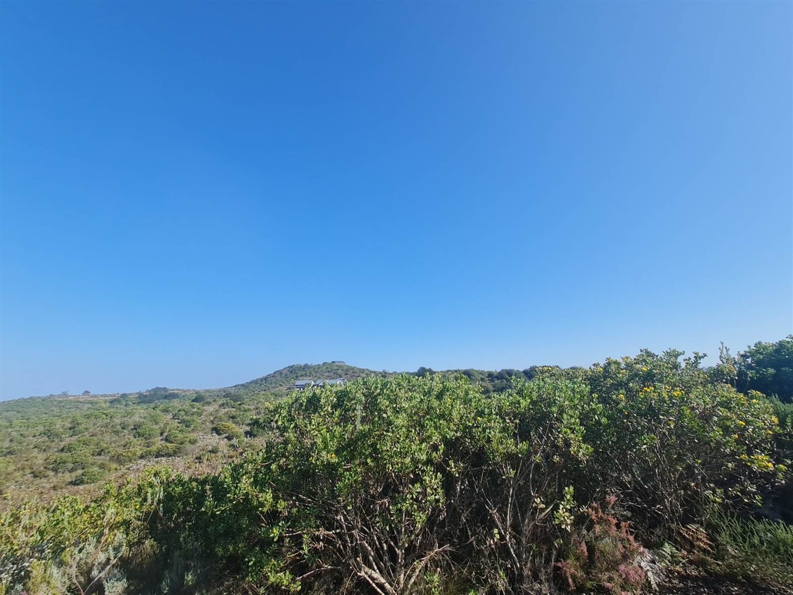 4741 m² Land available in Pezula Private Estate photo number 8